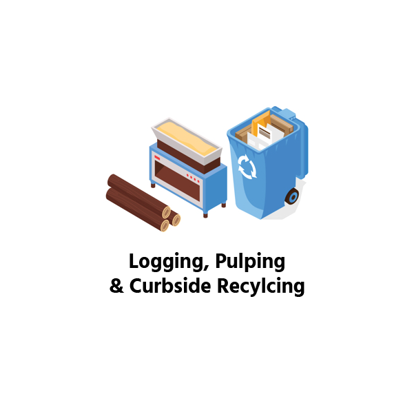 Logging, Pulping & Curbside Recycling